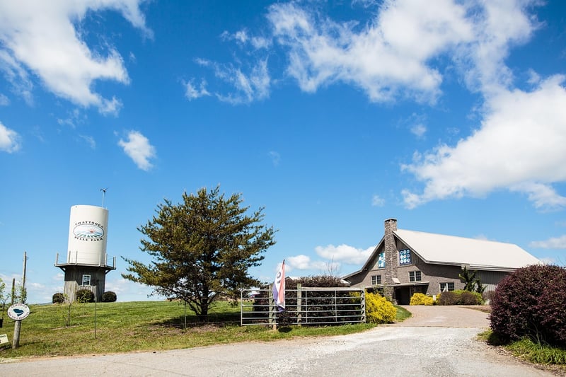 Rustic Lodge Wedding Venue